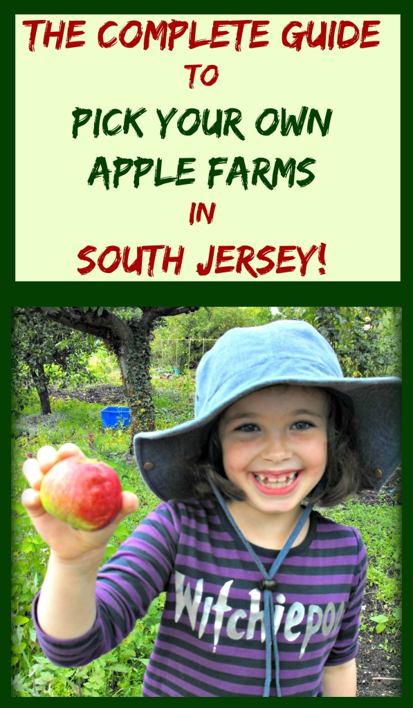 The Complete Guide to Pick Your Own Apple Farms in South Jersey