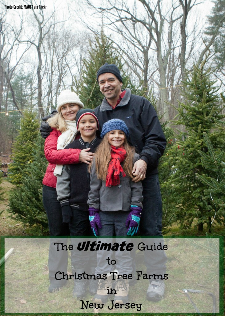 The Ultimate Guide to Christmas Tree Farms in New Jersey Things to Do