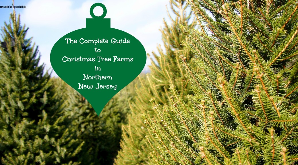 The Complete Guide To Christmas Tree Farms in North Jersey - Things to ...