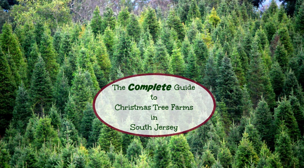 The Complete Guide to Christmas Tree Farms In South Jersey Things to