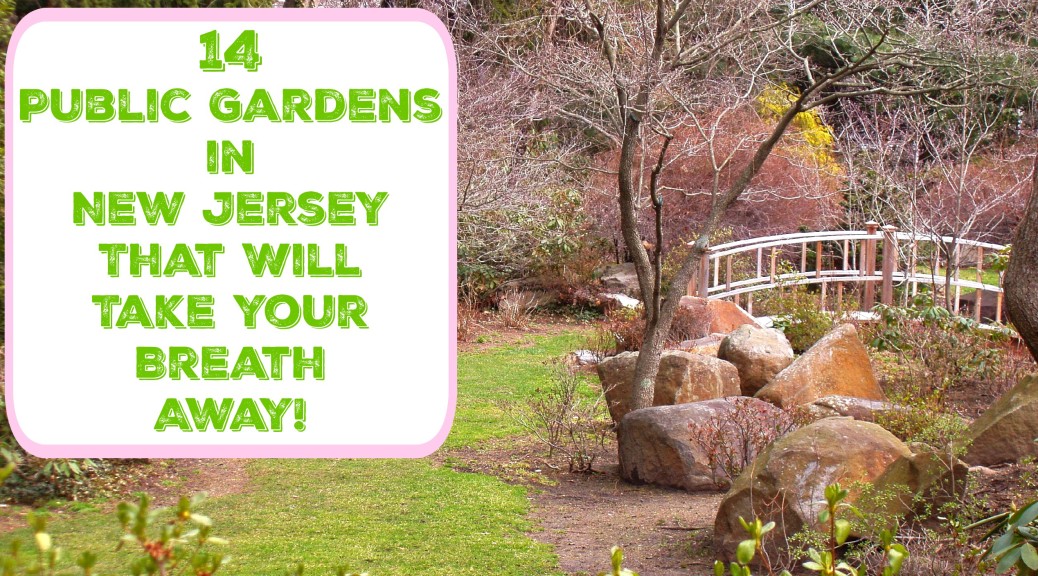 14 Public Gardens In New Jersey That Will Take Your Breath Away