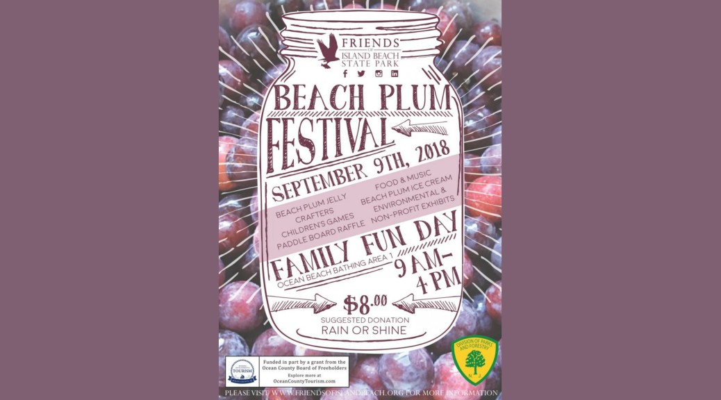 Beach Plum Festival at Island Beach State Park Things to Do In New Jersey