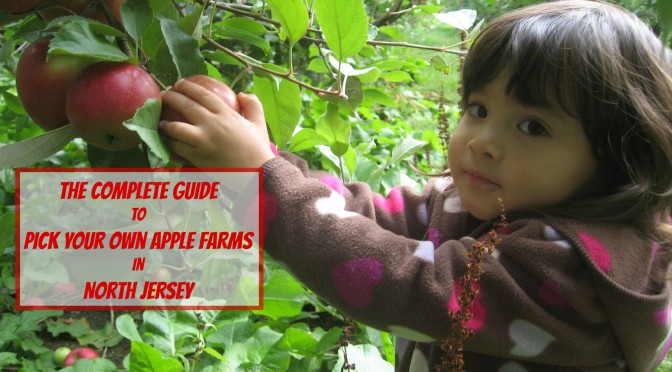 The Complete Guide to Pick Your Own Apple Farms in North Jersey