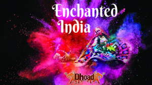 Enchanted India at the Mayo Performing Arts Center @ Mayo Performing Arts Center