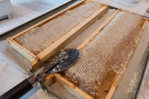 Honey Harvest at Howell Living History Farm @ Howell Living History Farm