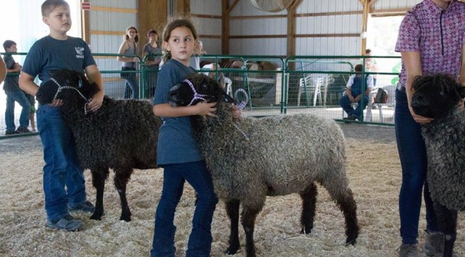 Garden State Sheep and Fiber Festival NJ