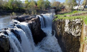 Nature Fair and Field Day @ Mary Ellen Kramer Park